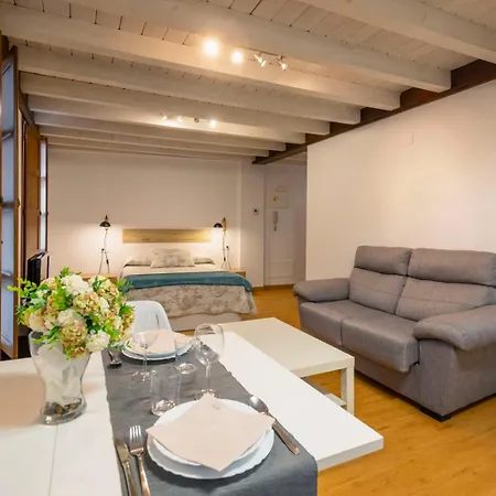 Apartamento El Peregrino *